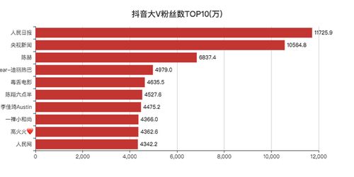 电脑端如何高效查看抖音粉丝数值与数据分析