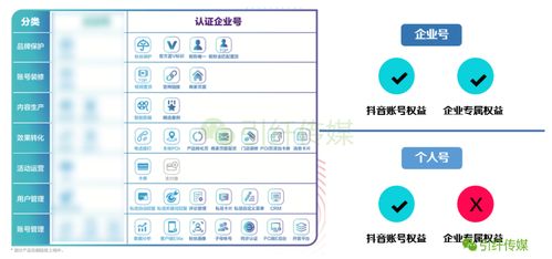 抖音完播率：官方定义与重要性解析