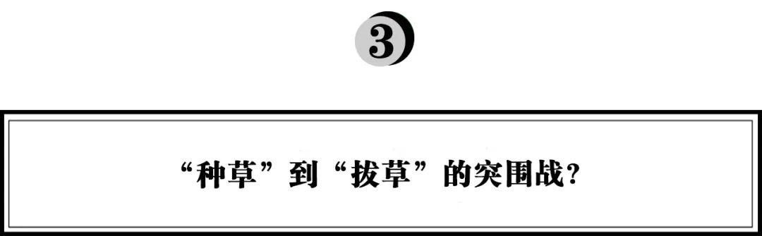 新品牌浪潮来袭，种草的小红书能靠什么赚钱？