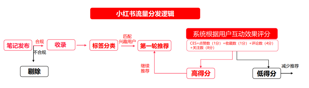 如何利用小红书搜索位引流精准粉丝？