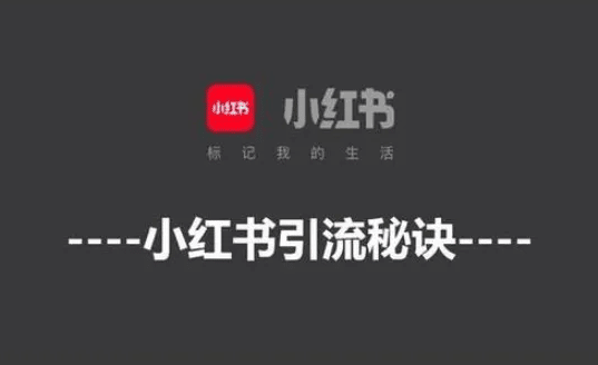 小红书起号最全避坑指南，小红书起号常见问题50个