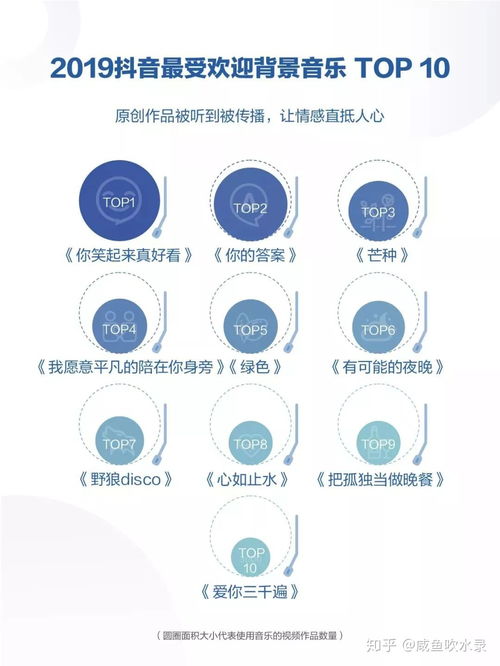 抖音服装新号涨粉策略：从内容到互动的全面指南