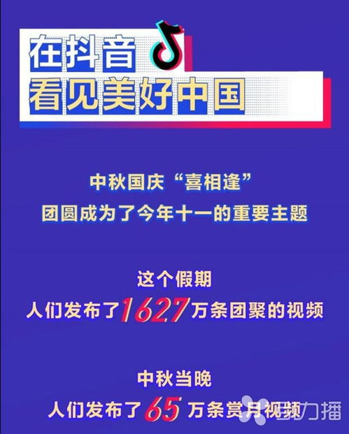 抖音粉丝群群主转让指南：步骤详解与注意事项