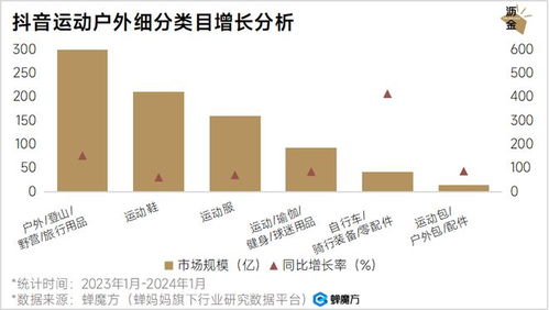 抖音企业推广评论撰写的艺术：优化与引导的关键